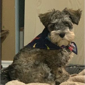 Meet your Posher, Michael